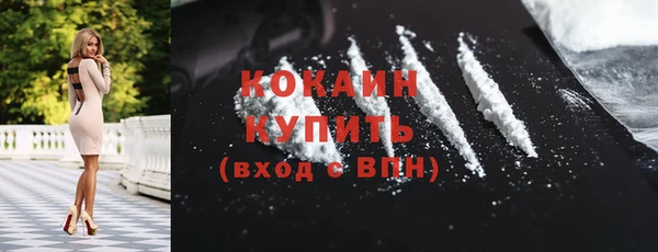 прущие грибы Медногорск