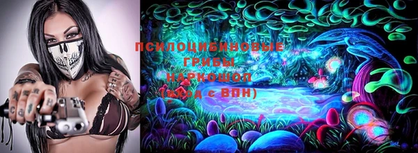 дживик Мегион