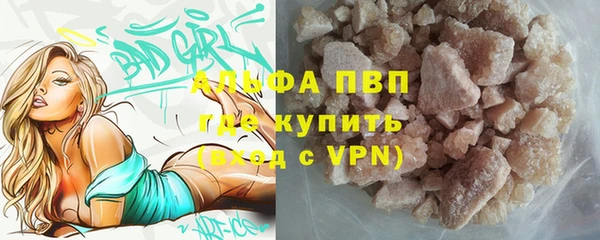 прущие грибы Медногорск