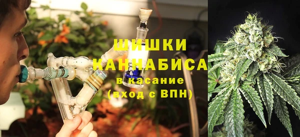 прущие грибы Медногорск