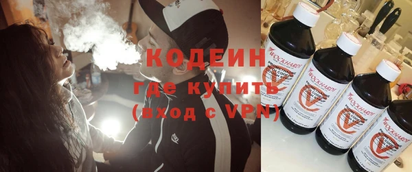 прущие грибы Медногорск