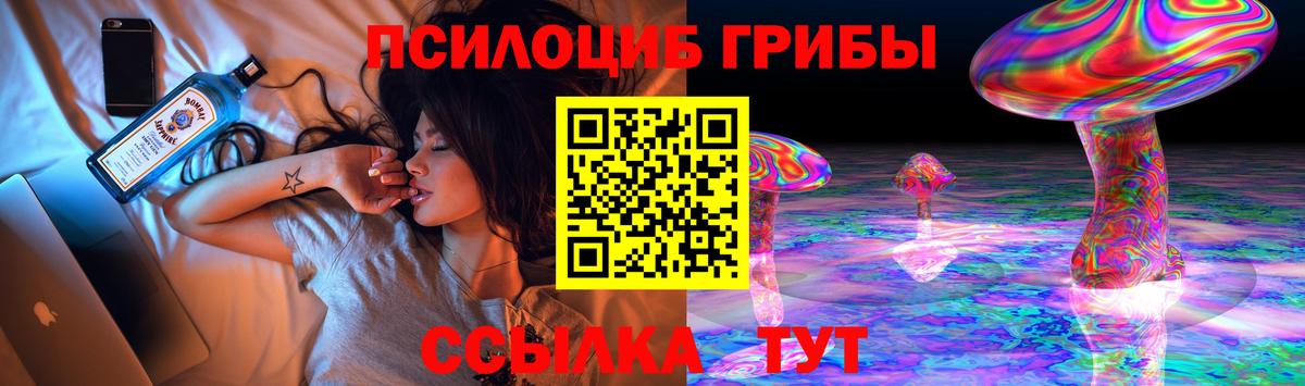 Галлюциногенные грибы Psilocybine cubensis Ангарск